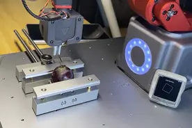 稚晖君自制机械臂，能给葡萄缝针，成本1万元，网友：开源脑子？图片