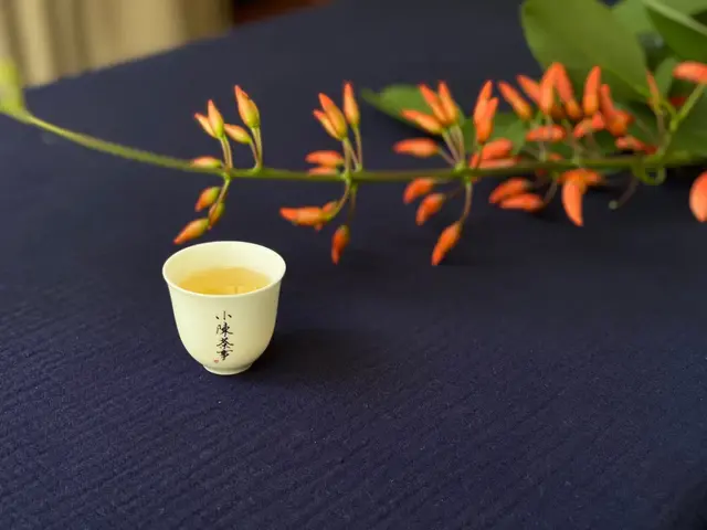 白茶不一定是白色，可是变黑一定有问题