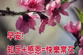 中老年表情包｜红尘多可笑，痴情最无聊，目空一切多好图片