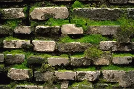 我也可以这样图片