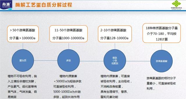 商家鼓吹的鱼蛋白肥料到底是个啥？
