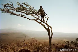 全世界活得最自在的地方，不用工作不用读书，没有任何烦恼图片