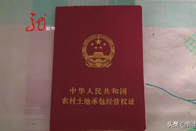 村会计在村民地补上搞猫腻儿，被拆穿还很坦然，胆不小图片