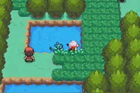 《宝可梦》游戏漏洞：四代中的隐藏草丛，在地图使用飞翔错误图片