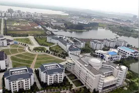 2021武汉外国语学校生源数据曝光！这些小学“中签率”真的高图片