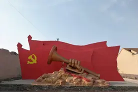 【百村调研行】丰县张后屯村：看革命老区的“红色+”发展图片