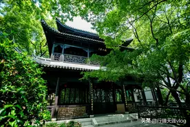 不要说嘉兴没山了，瓶山公园，一个隐藏在繁华都市中的江南之山图片