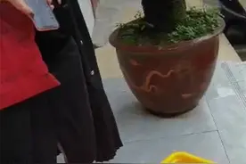 95后女孩离职补偿全为硬币续：拒收后收到转账，将追究企业诽谤责任图片