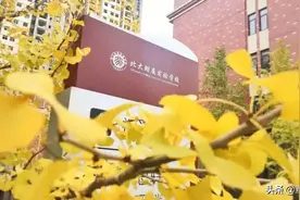 小升初直升！贵阳这个政策助力孩子升学图片
