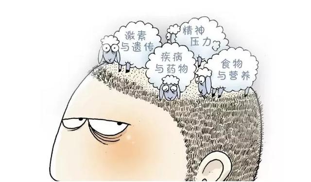 再见吧，脱发君