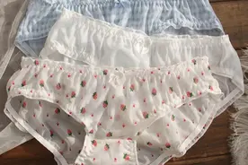 女士内裤款式分类介绍图片