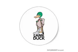 I'm not a lame ducks 我不是只瘸腿儿的鸭子？不中用的人才爱这么说图片