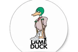 I'm not a lame ducks 我不是只瘸腿儿的鸭子？不中用的人才爱这么说图片