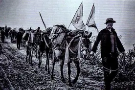 山间铃响马帮来，茶马古道的马帮传奇图片