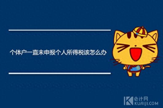 个人所得税逾期申报表，个体户一直未申报个人所得税该怎么办 配图01