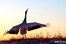 剪裁一下，废片秒变大片图片