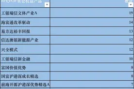 机构眼中的十大牛基图片
