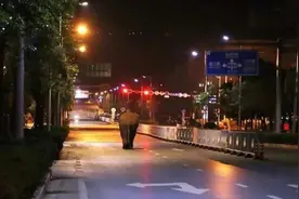 野象北迁，为何不麻醉运回？小象食酒糟醉倒，其实它的酒量不如你图片