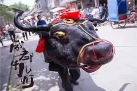 耶~这个牛儿不一样喃！成都牛儿灯，耕地上的民间艺术之花图片