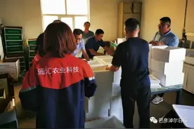 供应链云仓系统上线 巴彦淖尔生鲜24小时可达72个重点城市图片