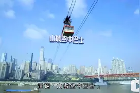 TVB一出手，国家级网红也关上滤镜图片