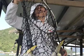 大鹏湾东山港渔排海钓图片