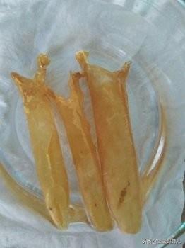 婴儿可以吃花胶汤吗 2026年花胶宝宝能吃吗