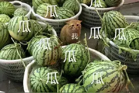 暗黑2重制版遭玩家吐槽？暴雪的救命稻草，或许是另一款游戏图片