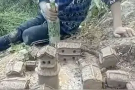 8岁男孩天天跑出去玩泥巴，父母看到真相惊呆了图片