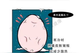 你必须知道的5个男科冷知识！（多图）图片