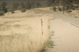 烧脑电影《无尽》观后感和全面解析图片