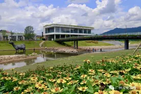 广州从化良口：绿水青山间的宝藏小镇！图片