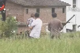 抚州：20亩农田被征收后荒废14年，村民无田可种：这是浪费图片