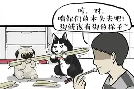 干得过狗，才能干得了饭（漫画）图片