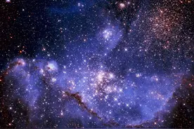 我的另外一个好朋友，互相见证了彼此的成长和进步图片