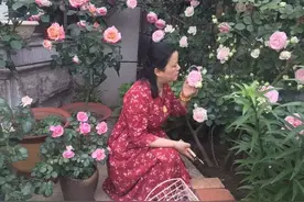 园丁奖花园组《062号》花开小院图片