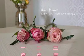 网购玫瑰花如何辨别开放度，选择怎样的开放度最好。图片