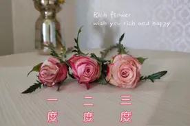 网购玫瑰花如何辨别开放度，选择怎样的开放度最好。图片