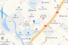 法拍分享：深圳市龙岗区坪地镇十八小区怡心广场C栋409图片