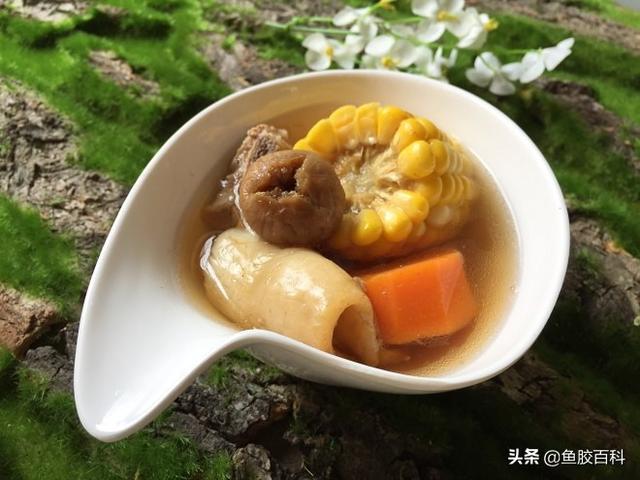 花胶竹笙煲白鸽的做法大全 竹笙炖花胶功效