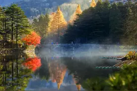 关注“江西发布”，畅游大美庐山！500张门票等你来拿！图片