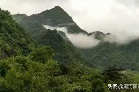 黑河记事——伐木工人起义（下）图片