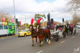 看澳洲：车文化与城区交通图片