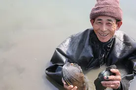 这4种“河鲜”正在消失，20年前下河随意捞，你吃过几种？图片