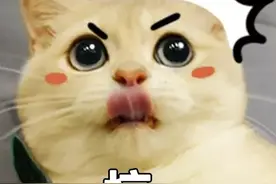 猫咪没有坏心思？看完10张图我窒息了图片