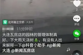 网友反映园林部门下雨天给树浇水？原来是在给树施液肥图片