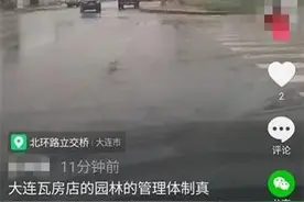 网友反映园林部门下雨天给树浇水？原来是在给树施液肥图片