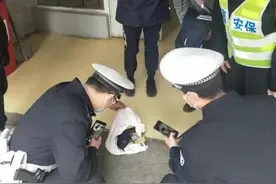 蓝紫色罕见小鸟被困粘鼠板 三名高中女生报警助它“断翅”脱困图片