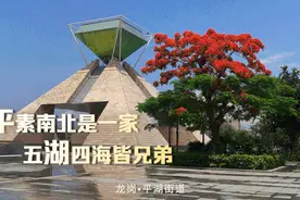 龙岗，为你写诗图片