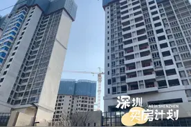 500万打新3房？龙华、宝安、光明，18个热盘任你选图片